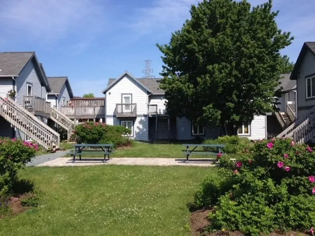 A courtyard with picnic tables and large grassy areas surrounded by townhouses.